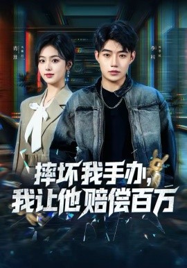 《摔坏我手办，我让他赔偿百万》-VIP部落