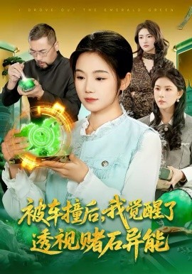 《被车撞后，我觉醒了透视赌石异能了》-VIP部落