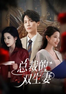 《总裁的双生妻》-VIP部落