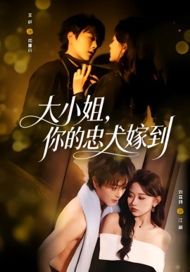 《大小姐，你的忠犬嫁到》-VIP部落
