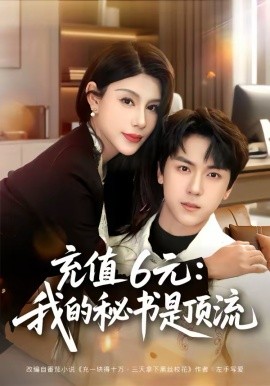 《充值6元：我的秘书是顶流》-VIP部落