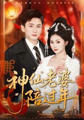 《神仙老婆陪过年》-VIP部落