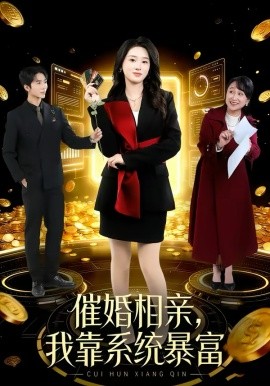 《催婚相亲，我靠系统暴富》-VIP部落