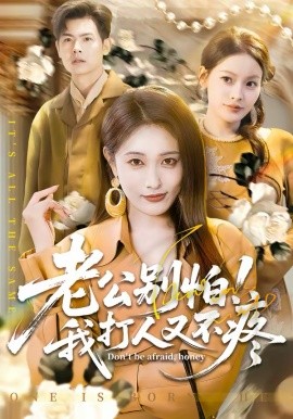 《老公别怕！我打人又不疼》-VIP部落