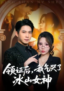 《领证后，我气哭了冰山女神》-VIP部落