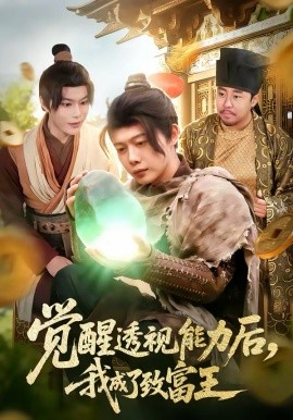 《觉醒透视能力后，我成了致富王》-VIP部落