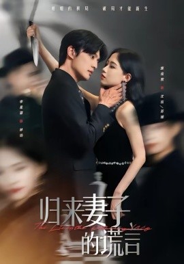 《归来妻子的谎言》-VIP部落