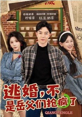 《逃婚，不，是岳父们抢疯了》-VIP部落