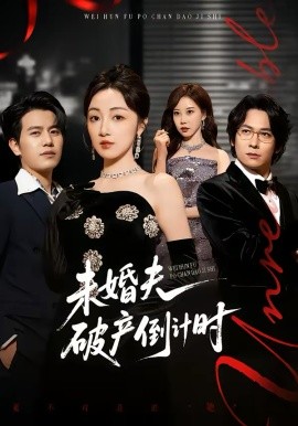 《未婚夫破产倒计时》-VIP部落
