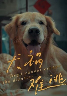 《犬祸难逃》-VIP部落