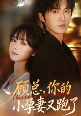 《顾总，你的小孕妻又跑了》-VIP部落