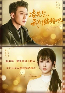 《凌先生，我们结婚吧》-VIP部落