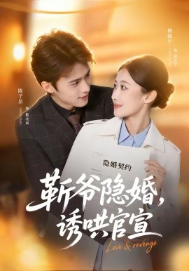 《斩爷隐婚，诱哄官宣》-VIP部落