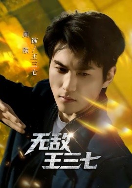《无敌王三七》-VIP部落