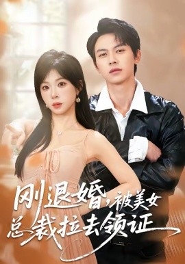 《刚退婚，被美女总裁拉去领证》-VIP部落