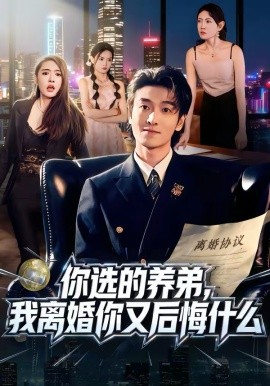 《你选的养弟，我离婚你又后悔什么》-VIP部落