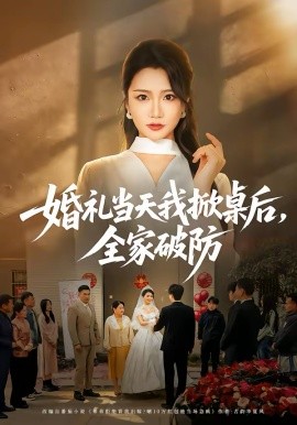 《婚礼当天我掀桌后，全家破防》-VIP部落