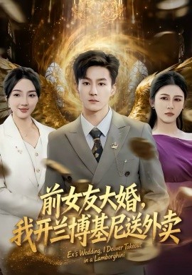 《前女友大婚，我开兰博基尼送外卖》-VIP部落