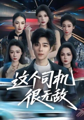 《这个司机很无敌》-VIP部落