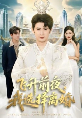 《飞升前夜，我选择离婚》-VIP部落
