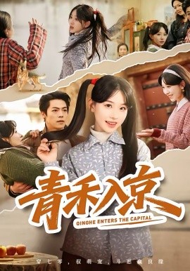 《青禾入京》-VIP部落