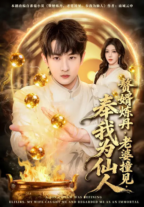 《赘婿炼丹，老婆撞见，奉我为仙人》-VIP部落
