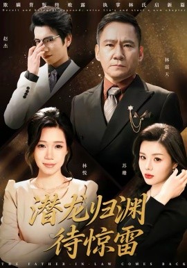 《潜龙归渊待惊雷》-VIP部落