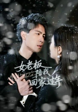 《女老板陪我回家过年》-VIP部落