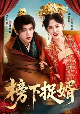 《榜下捉婿》-VIP部落