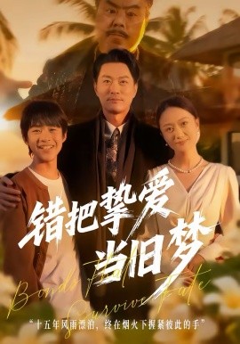 《错把挚爱当旧梦》-VIP部落