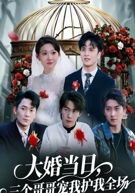 《大婚当日，三个哥哥宠我护我全场》-VIP部落