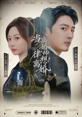 《当离婚律师想离婚》-VIP部落