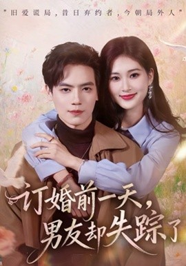 《订婚前一天，男友却失踪了》-VIP部落