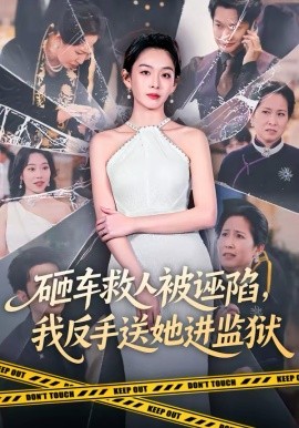 《砸车救人被诬陷，我反手送她进监狱》-VIP部落