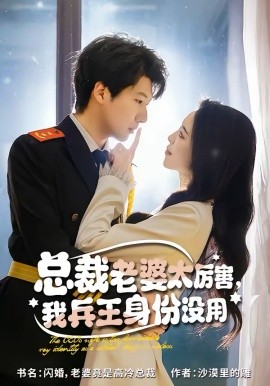 《总裁老婆太厉害，我兵王身份没用》-VIP部落