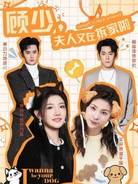《顾少，夫人又在拆家啦》-VIP部落