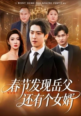 《春节发现岳父还有个女婿》-VIP部落