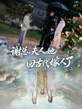 《谢总，夫人她回古代嫁人了》-VIP部落