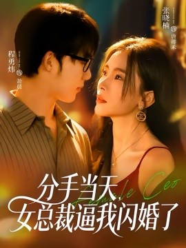 《分手当天，女总裁逼我闪婚了》-VIP部落