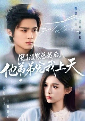 《甩了渣男总裁后，他弟弟宠我上天》-VIP部落