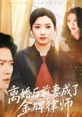 《离婚后前妻成了金牌律师》-VIP部落