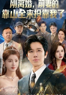 《刚离婚，前妻的靠山全来投靠我了》-VIP部落
