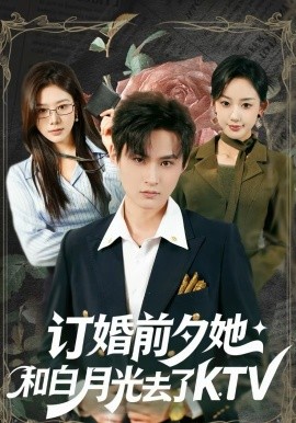 《订婚前夕她和白月光去了KTV》-VIP部落