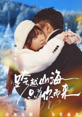 《跨越山海只为你而来》-VIP部落