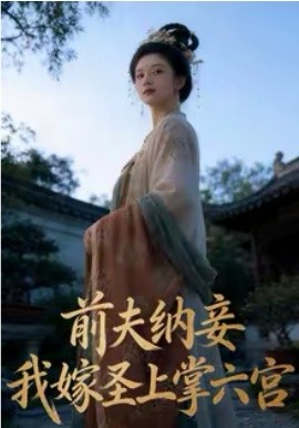 《前夫纳妾，我嫁圣上掌六宫》-VIP部落