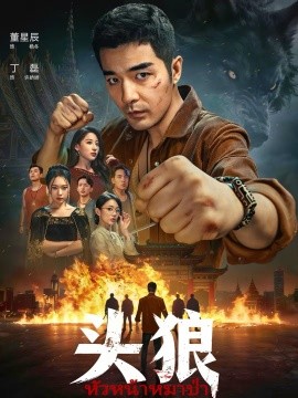 《头狼2026》-VIP部落