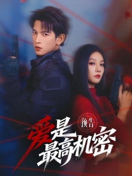 《爱是最高机密》-VIP部落