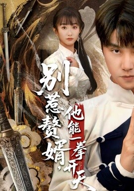 《别惹赘婿，他能一拳开天》-VIP部落