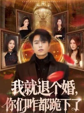 《我就退个婚，你们咋都跪下了》-VIP部落