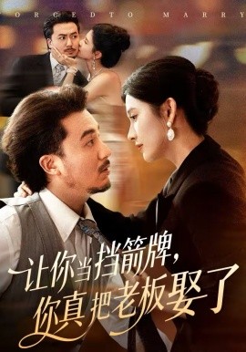 《让你当挡箭牌，你真把老板娶了》-VIP部落